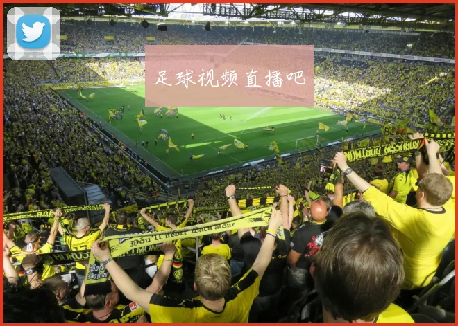 足球视频直播吧