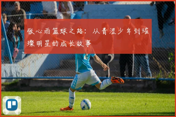 张心雨篮球之路：从青涩少年到璀璨明星的成长故事