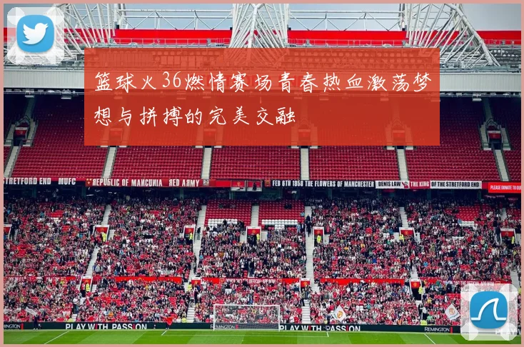 篮球火36燃情赛场青春热血激荡梦想与拼搏的完美交融