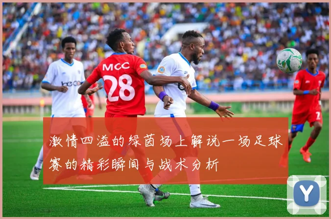 激情四溢的绿茵场上解说一场足球赛的精彩瞬间与战术分析